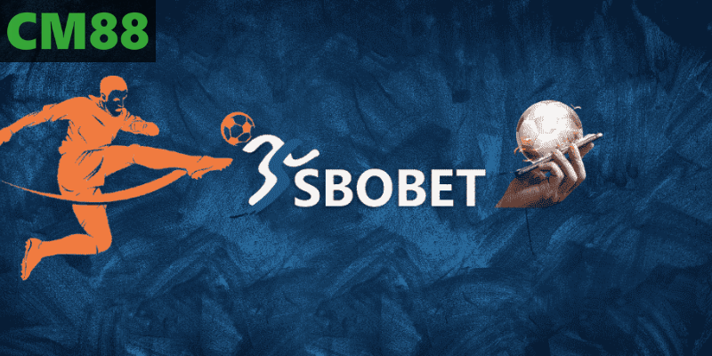 Khái Quát Toàn Diện Về SBO Thể Thao